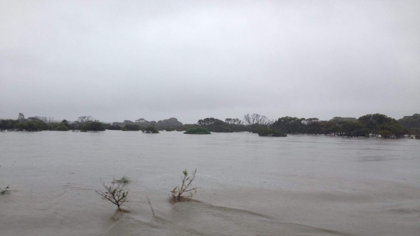 The Lort River, between Ravensthorpe and Esperance.