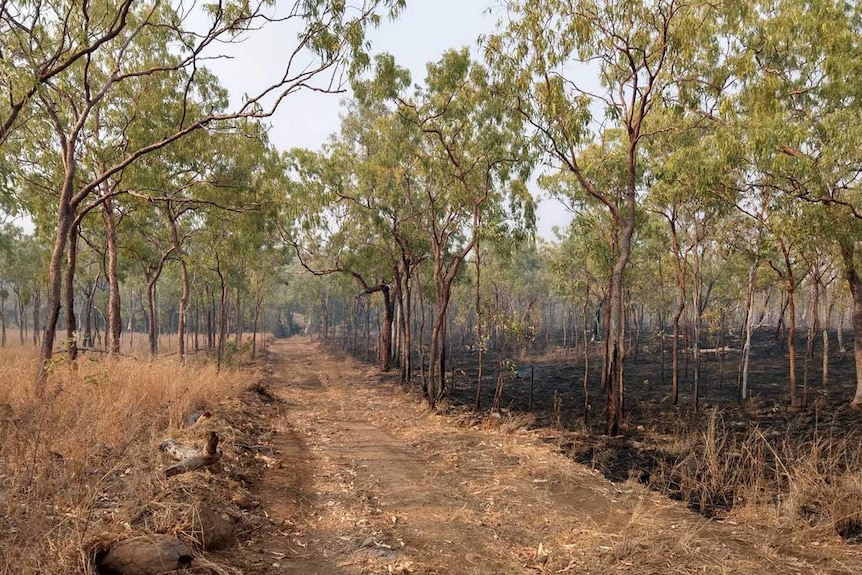 A burnt-out section of the State Government's Springvale Station