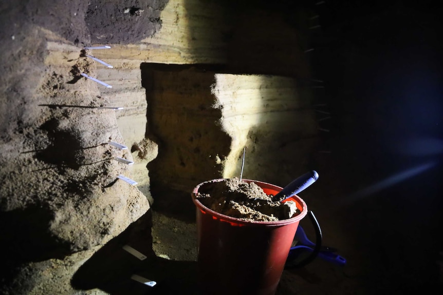 A red bucket full of earth sits next to a wall of layered soil