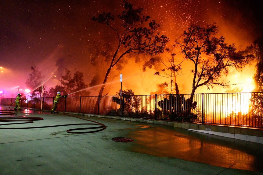 Firefighters try to douse a bushfire at night near properties in a street at Peregian Beach.