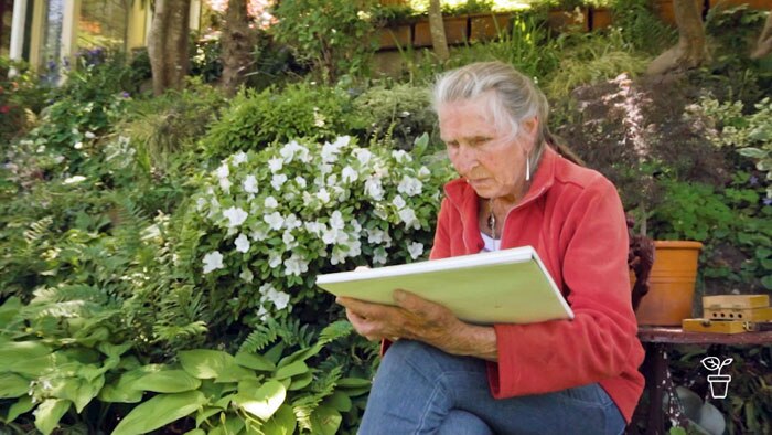 Woman sitting outdoors in garden drawing with a sketchbook