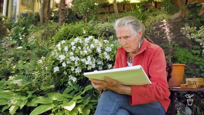 Woman sitting outdoors in garden drawing with a sketchbook