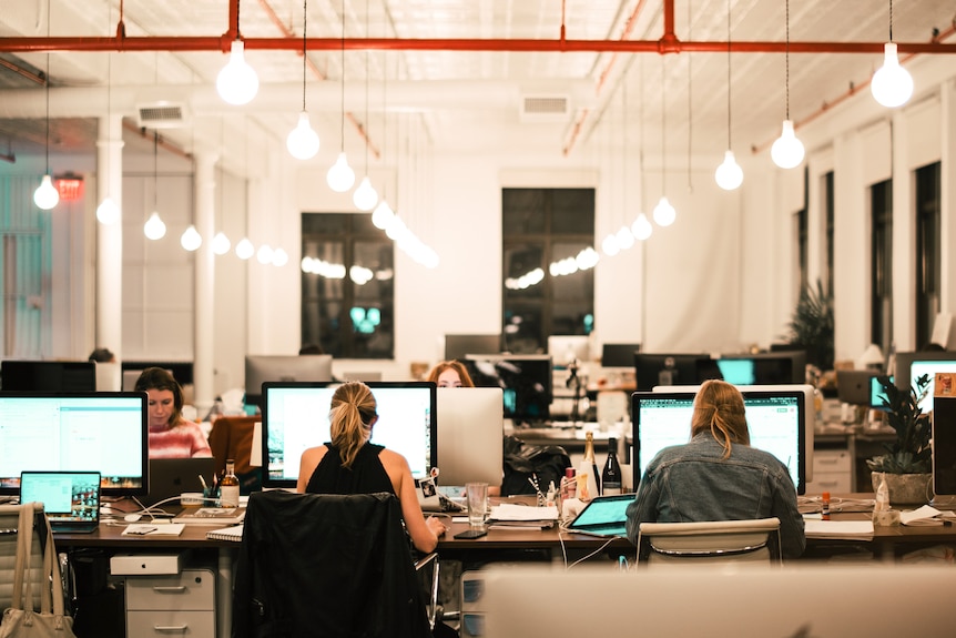 A group of people sitting in front of computers at their desks.