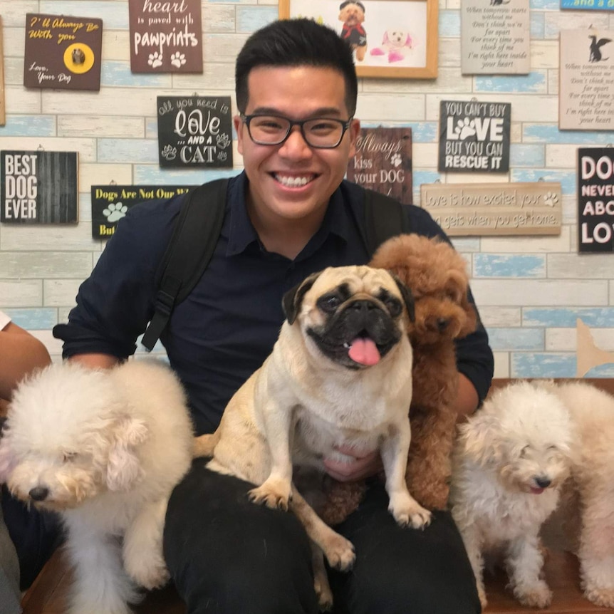 A man sits among a group of puppies.