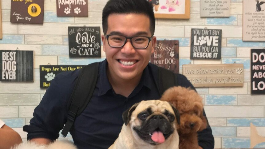 A man sits among a group of puppies.