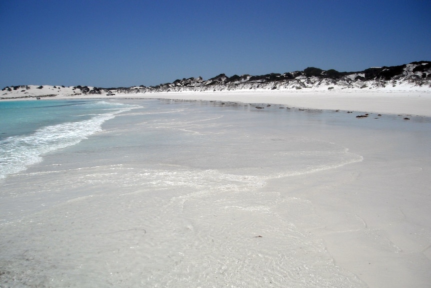 A beach with white sand, with the ocean on the left and dunes on the right.