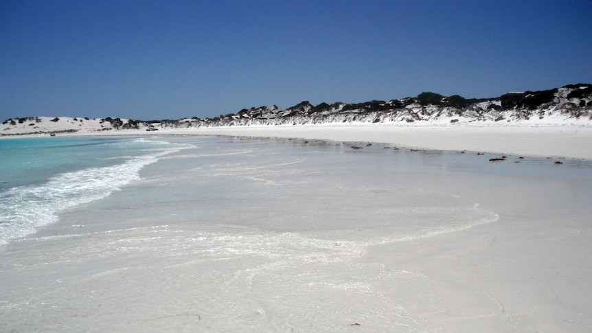 A beach with white sand, with the ocean on the left and dunes on the right.