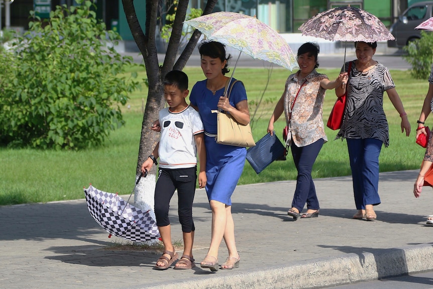 Women walk down a street holding umbrellas.