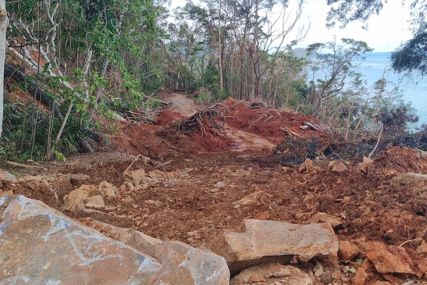 A muddy track cut into a rainforest hillside