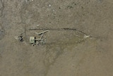 An aerial shot showing the skeleton of a degrading ship.