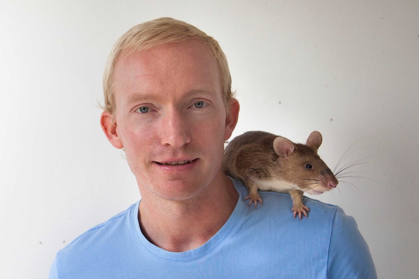 Dr Tim Edwards with a giant african pouched rat on his shoulder