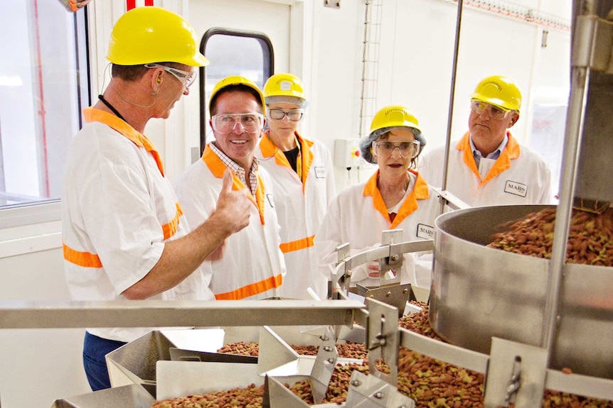 A group of people wearing hard hats stand around a machine producing dry dog food.