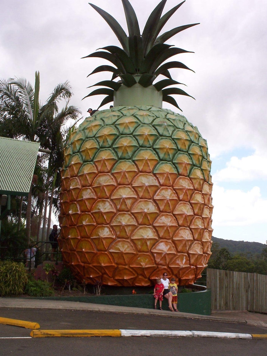 Big Pineapple at Woombye, Queensland