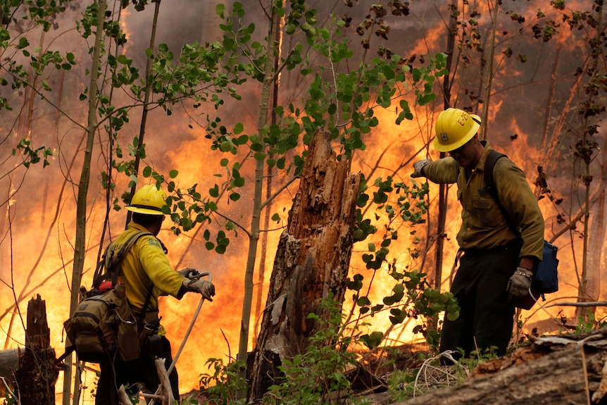 Two fire fighters battle a blaze in bushland