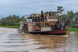 A heritage coloured paddle wheeler loaded with tourists sails along the brown Thomson River.