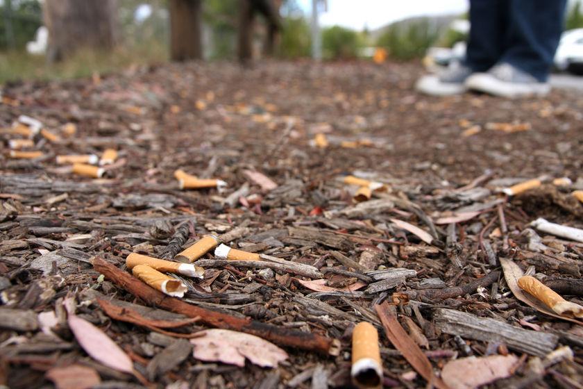 cigarette.png Cigarette png with smoke PSD, High Quality Free PSD Templates for Download