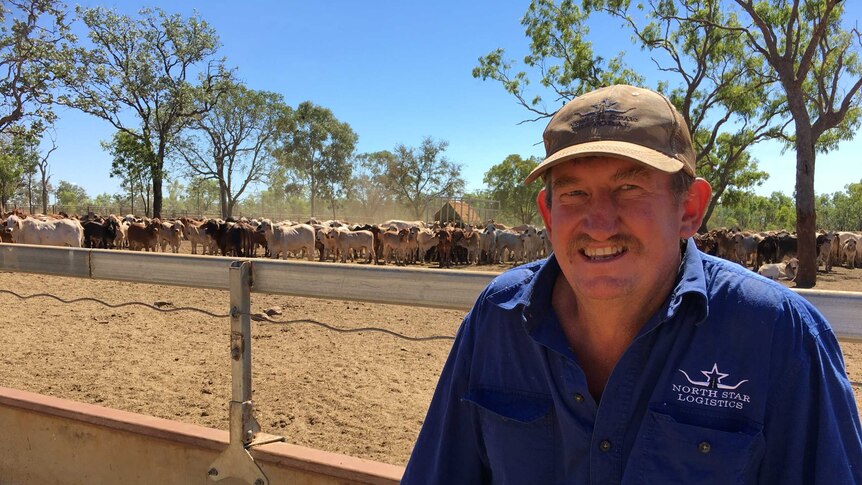 Northstar Pastoral owner Colin Ross stands in front of a fence on his property where hundreds of cattle are enclosed