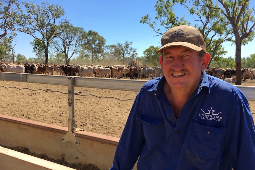 A moustachioed man in a baseball cap and blue collared shirt beside a cattle yard with a large herd in the background