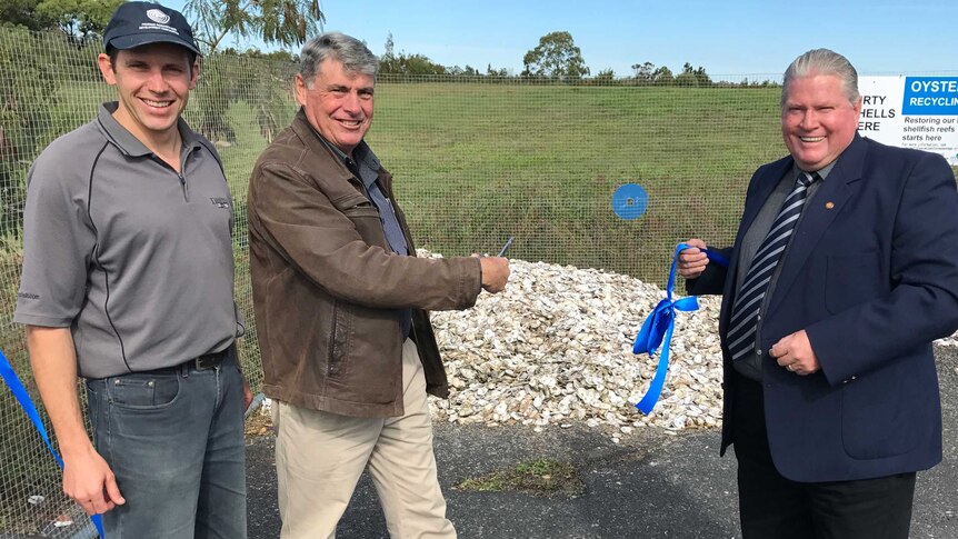 Marine biologist Dr Ben Diggles, Moreton Regional Mayor Allan Sutherland and Pumicestone MP Rick Williams with oysters.