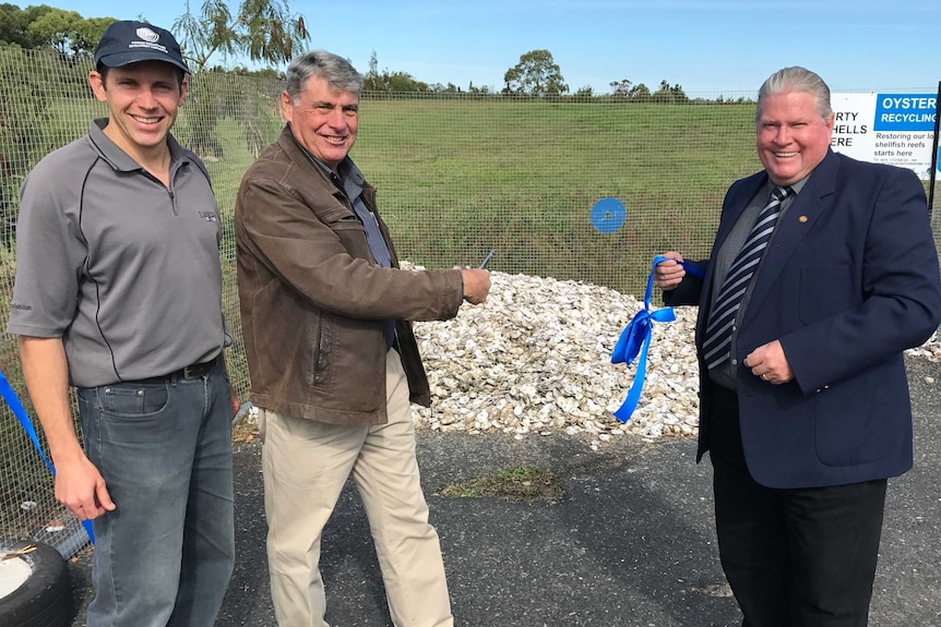 Marine biologist Dr Ben Diggles, Moreton Regional Mayor Allan Sutherland and Pumicestone MP Rick Williams with oysters.