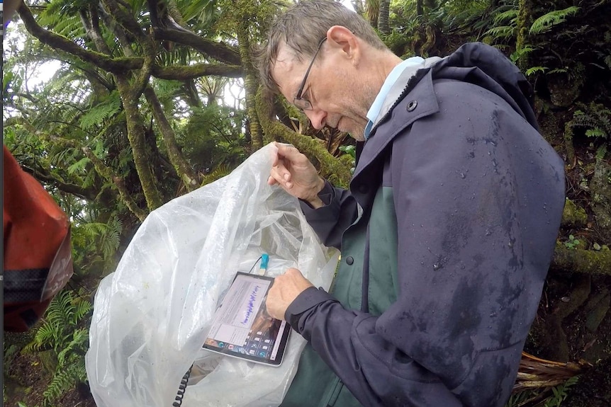 A man wearing a rain jacket in a wet forest checks temperature readings on a screen.