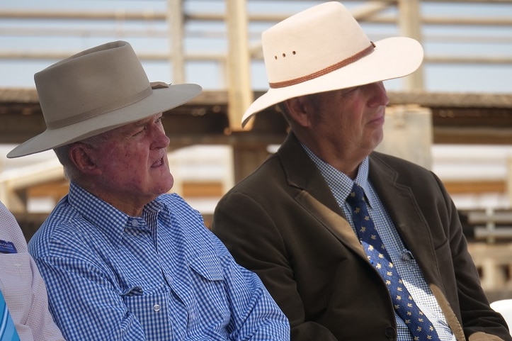Two older men watch proceedings at the Roma Saleyards.