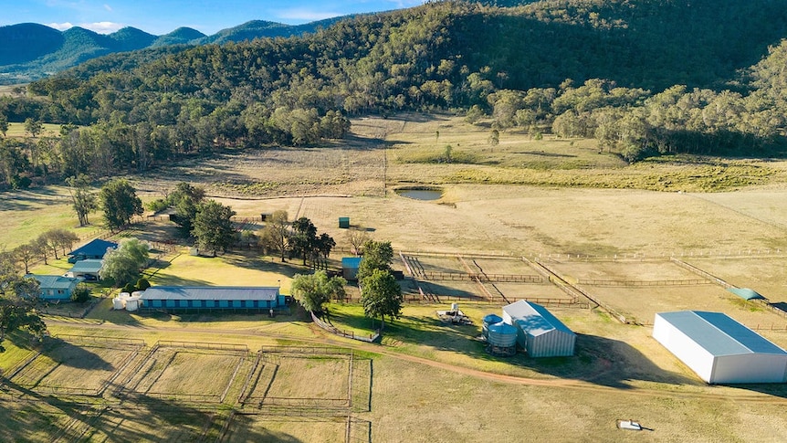 A green property with yards. 