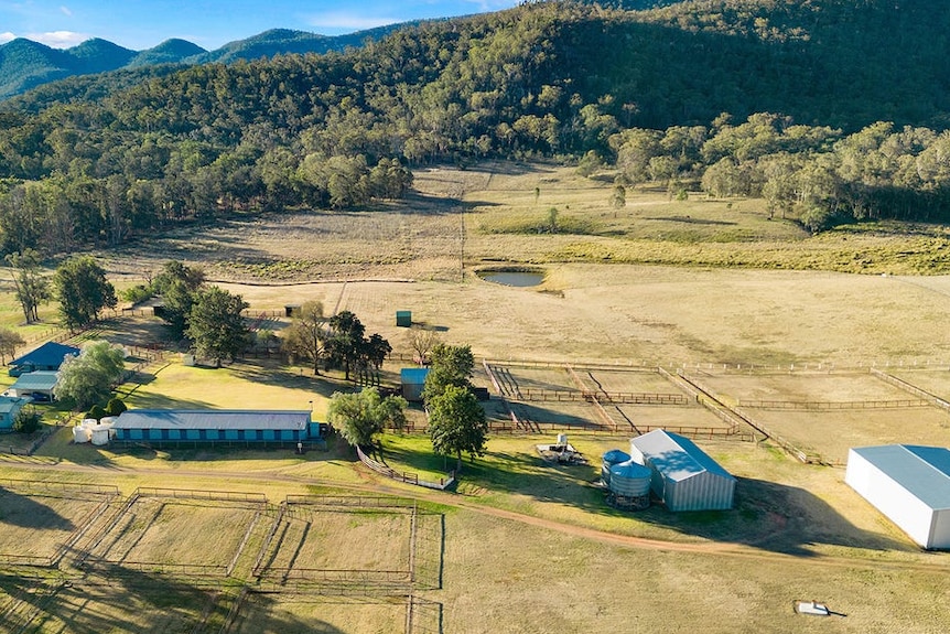 A green property with yards. 