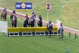 Horses jumps racing at Warrnambool