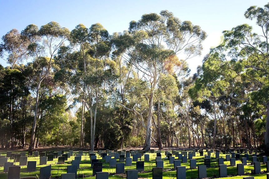 Gravestones at the Springvale Botanical Cemetery.