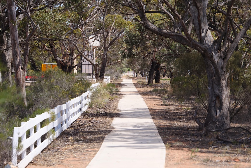 a path through bushland 