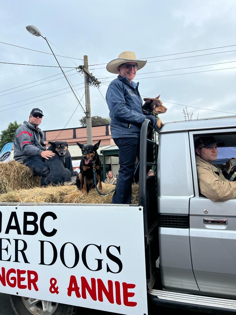 Rob Tuncks and Frank Finger stand in ute tray with three kelpies during parade