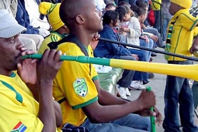 A member of the crowd blows a vuvuzela at an Australian World Cup match (ABC News)