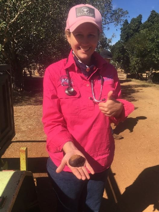 A woman with blonde hair, wearing a pink shirt, holds a ball of gunk removed from a horse.