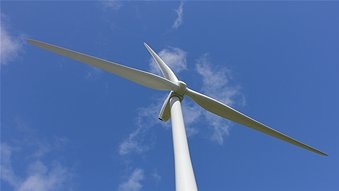 Tasmania's Energy Minister says the Government supports all renewable energy development including wind power.