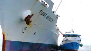 Fraud claims: Mr McLoughlin says Japan is hiding tonnes of tuna. [File photo]