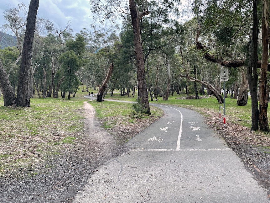 Two paths, one forged through grass, in an Australian bush setting.