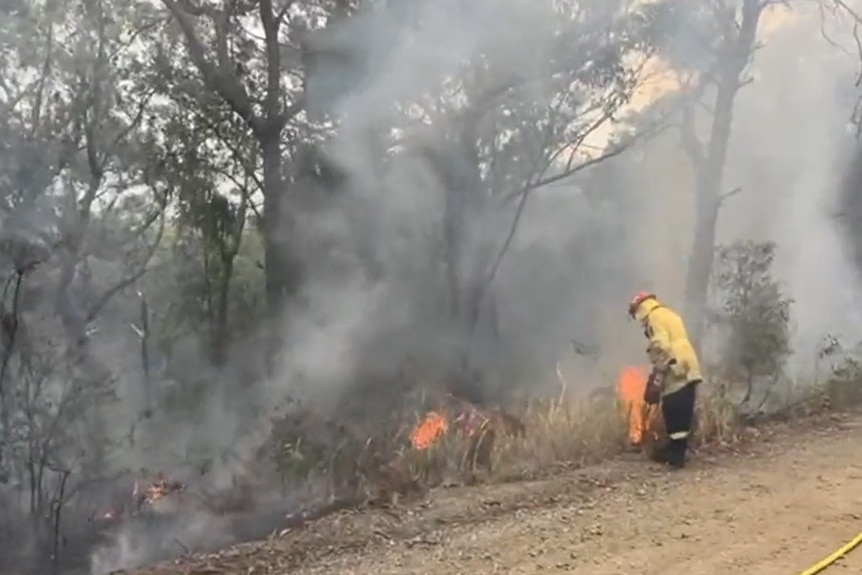A firefighter wearing a bright yellow uniform inspects flames on the side of the road in bushland at Belmore River near Kempsey
