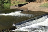 Water flowing over the weir at Gympie.