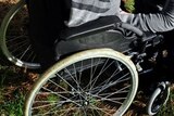 Child in a wheelchair