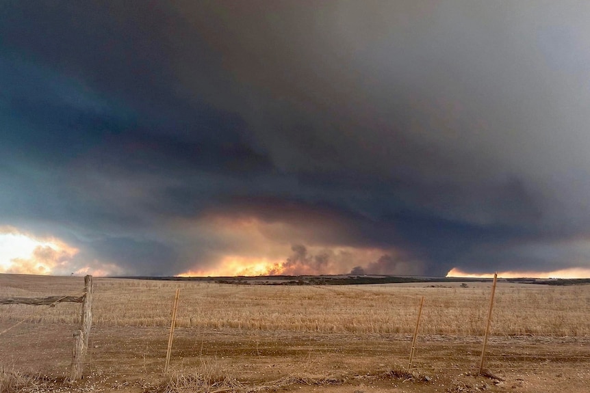 A bushfire on the horizon over paddocks.