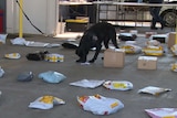 Police dog searches mail for clandestine drugs