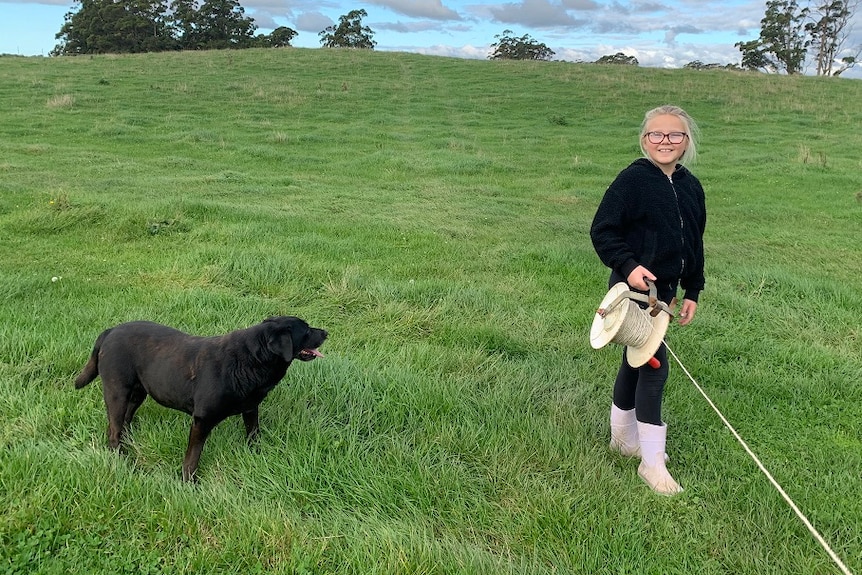 A child and a dog moving a fence.