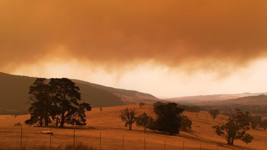 A red sky full of smoke near Omeo, Victria.