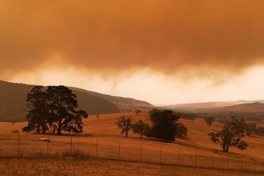 A red sky full of smoke near Omeo, Victria.
