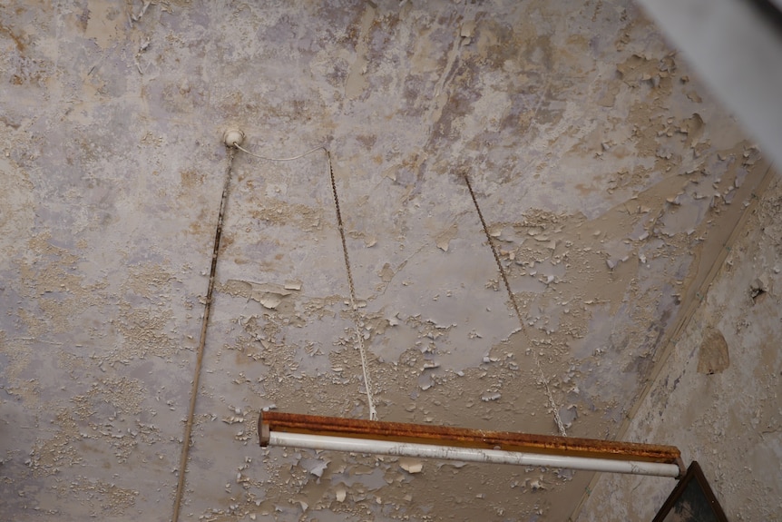 discoloured cream and grey ceiling with paint peeling off