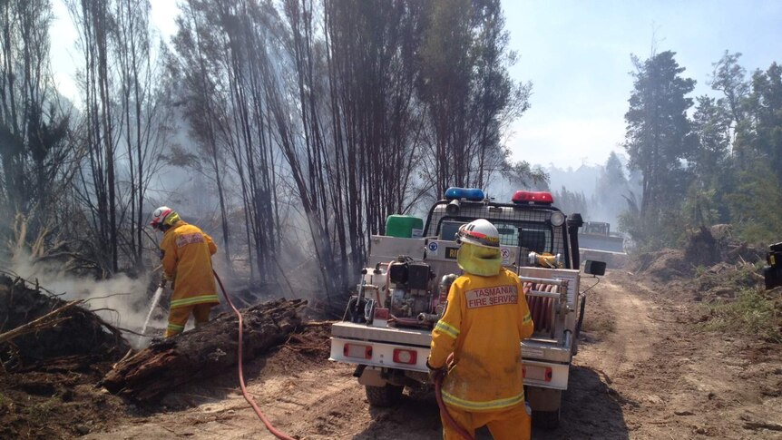 Firefighters fighting a fire on the roadside at Mawbanna.