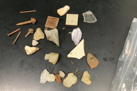 Items, including nails and tiles, removed from Leggy's stomach during surgery.