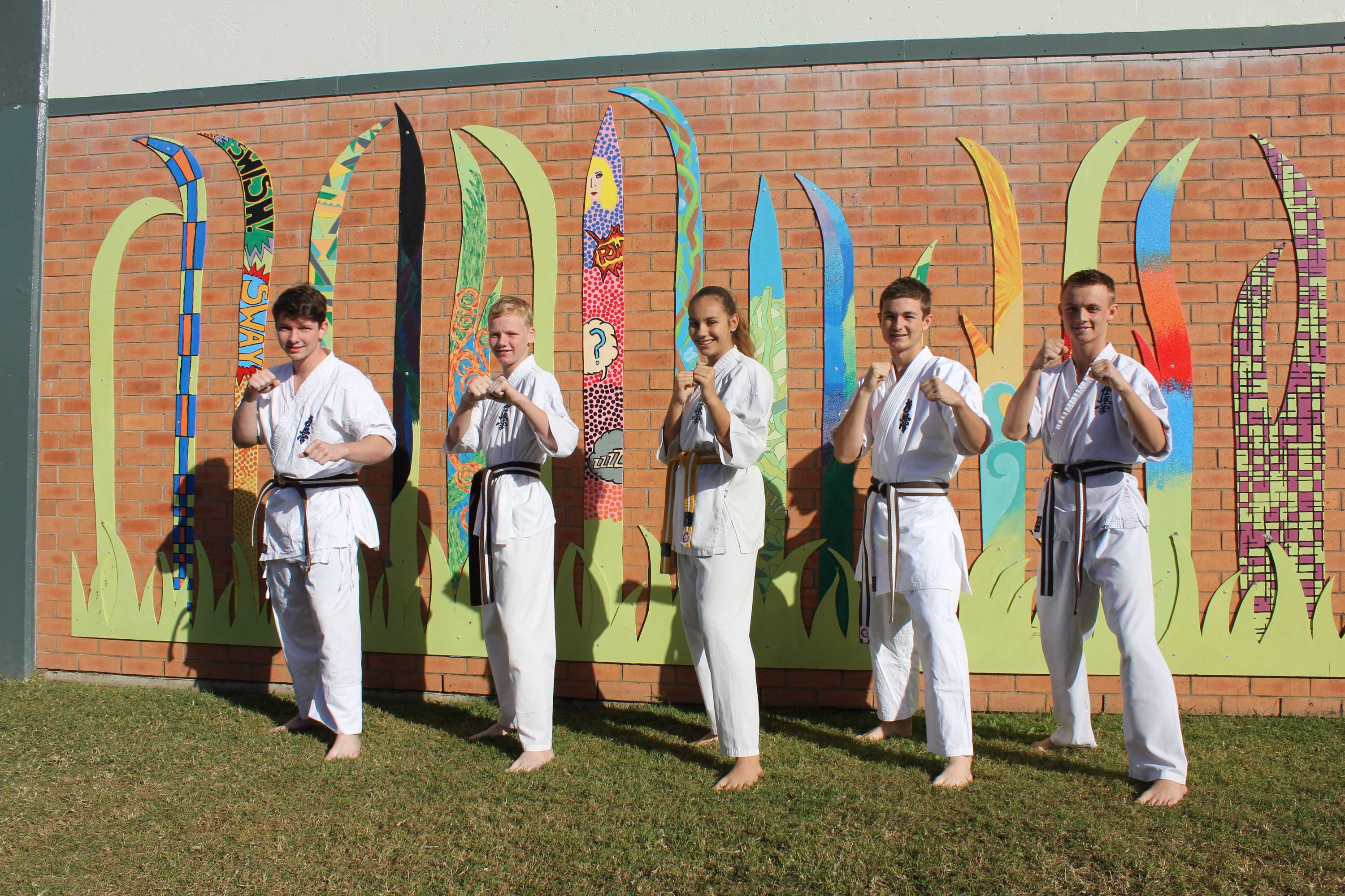 Whitsunday Karate Students Selected To Compete Against 'the Best Of The ...