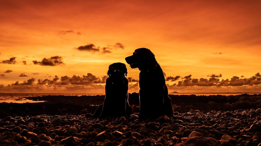 Betty and Jet sitting on rocks at Sunrise